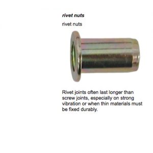 4080045_nut-blindmoer