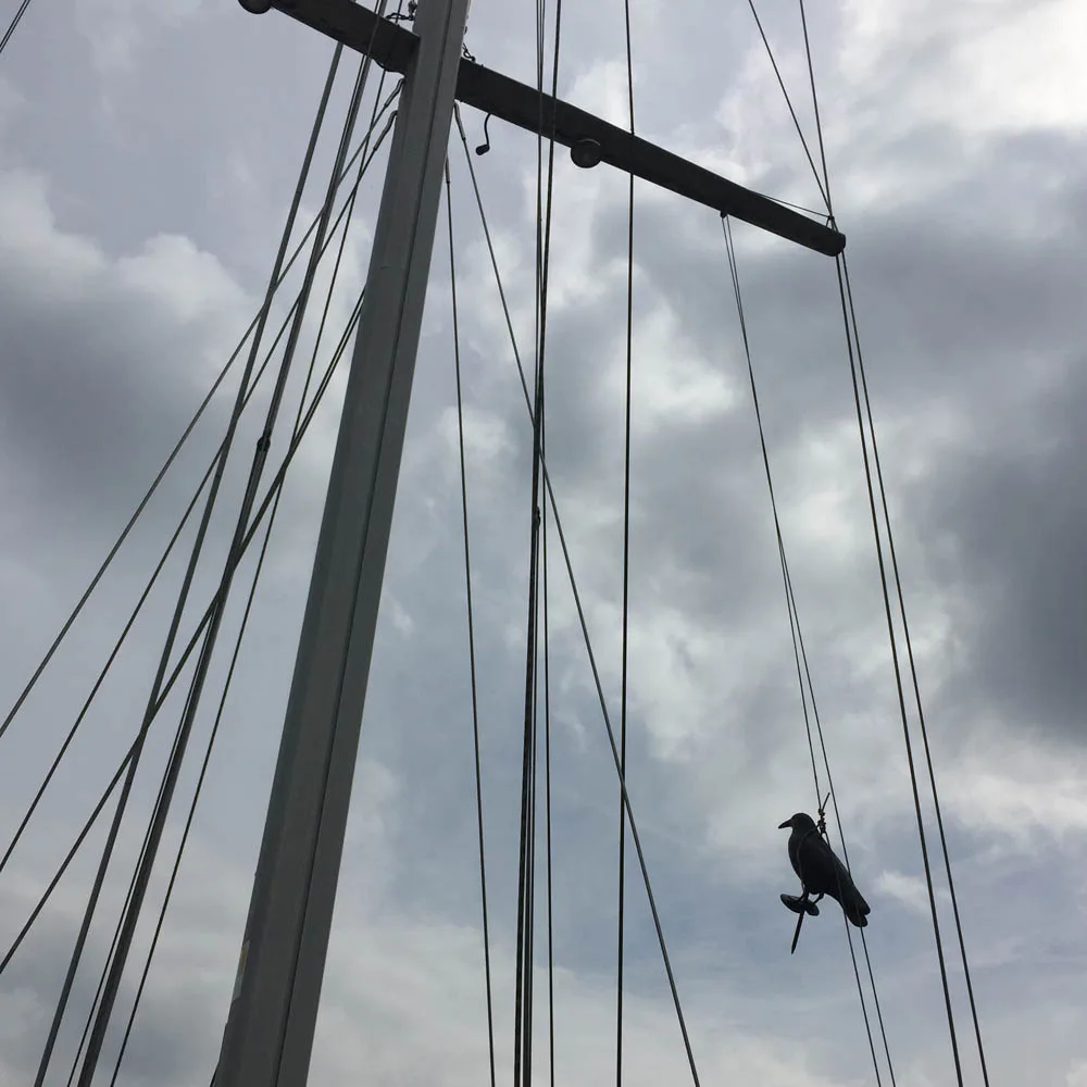 34056-boot-kraai-vogelverschrikker-mast